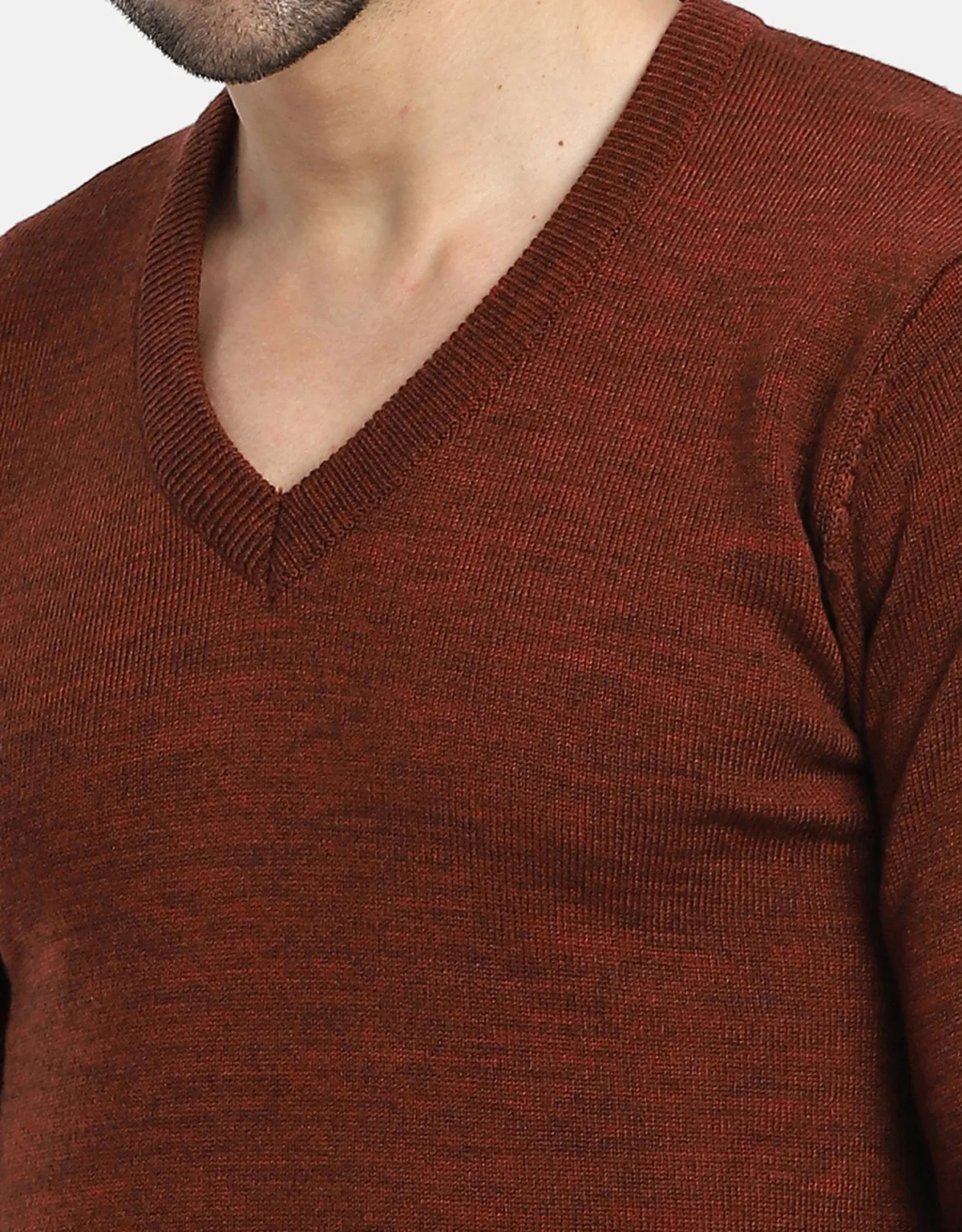 Men Woolen V-Neck Pullover